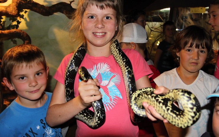 V létě se děti na ekotáboru dokonce pomazlily i s hadem